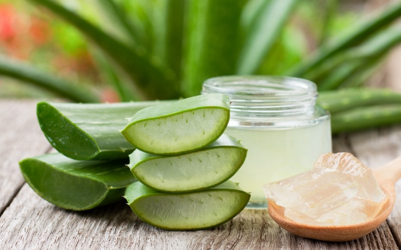 Aloe vera